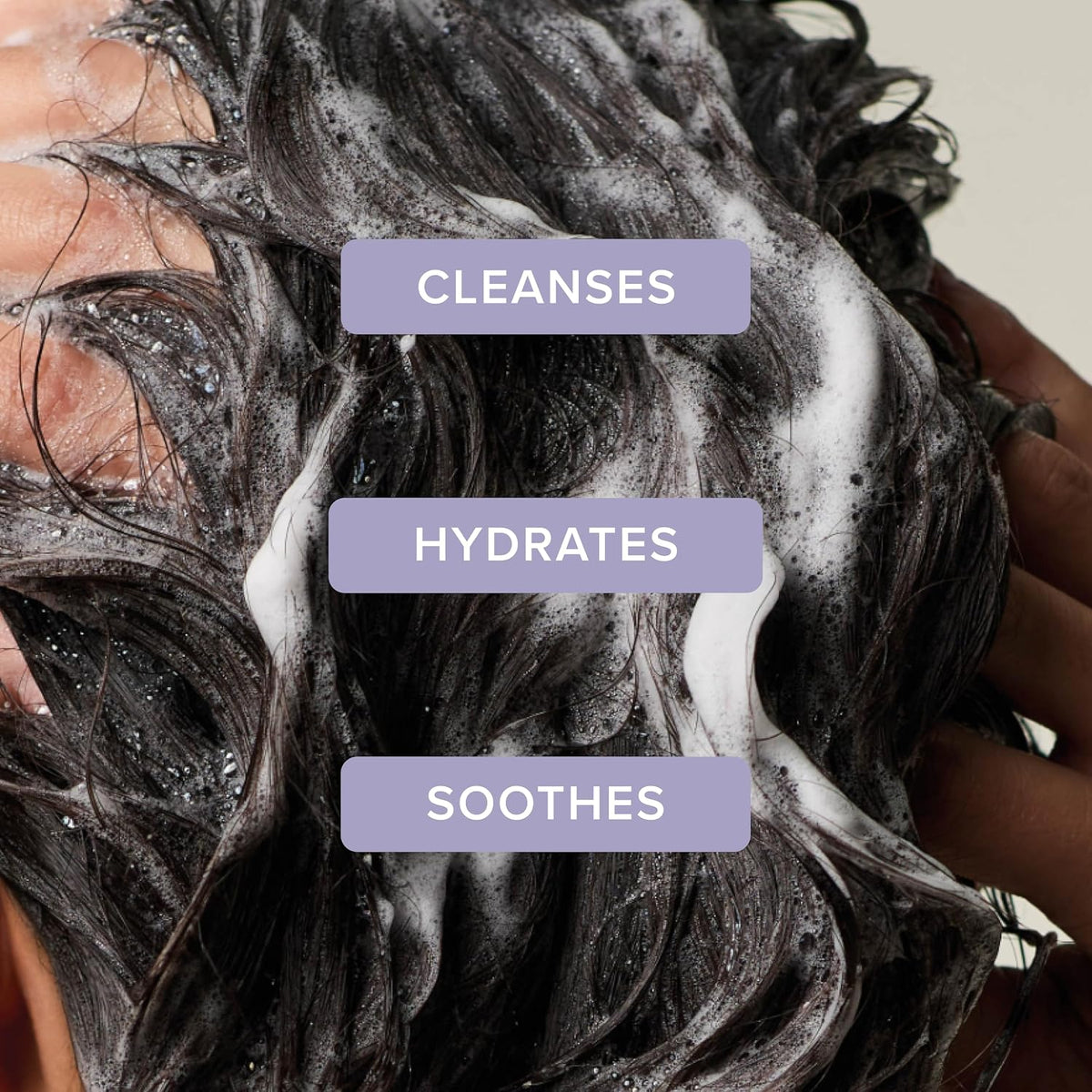Tea Tree Lavender Mint Moisturizing Shampoo, Hydrates + Soothes, for Coarse + Dry Hair