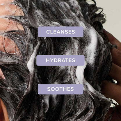 Tea Tree Lavender Mint Moisturizing Shampoo, Hydrates + Soothes, for Coarse + Dry Hair