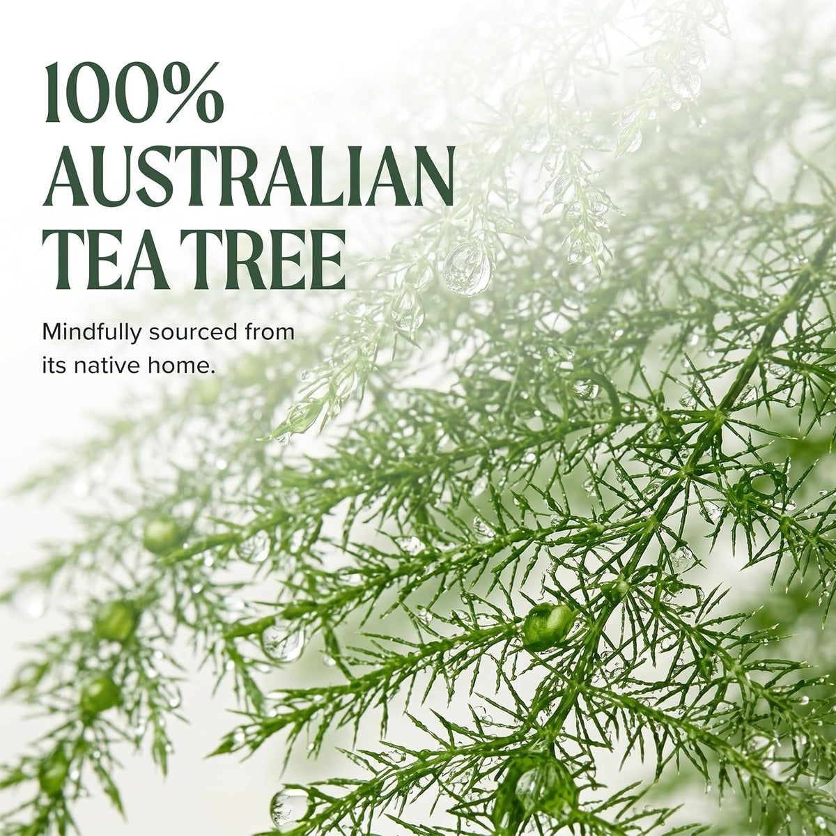 Tea Tree Lavender Mint Moisturizing Shampoo, Hydrates + Soothes, for Coarse + Dry Hair