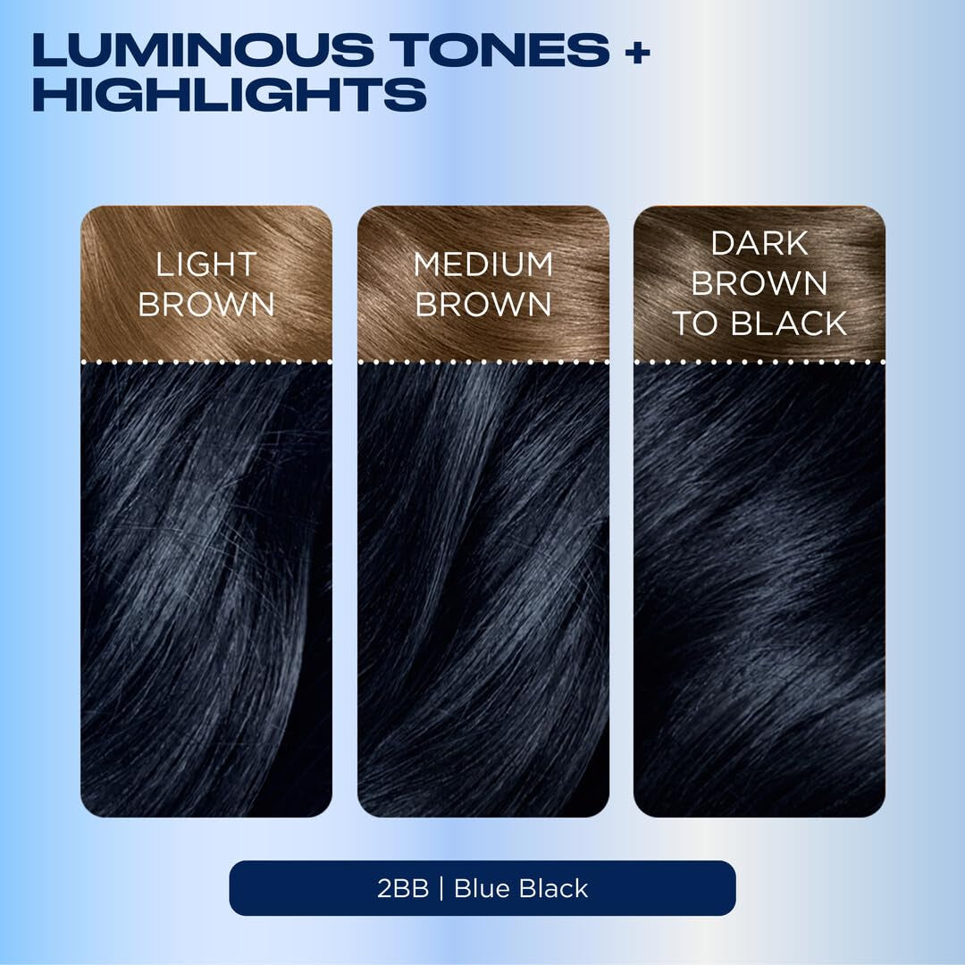 Nice'N Easy Permanent Hair Dye, 2BB Blue Black | Pack of 1