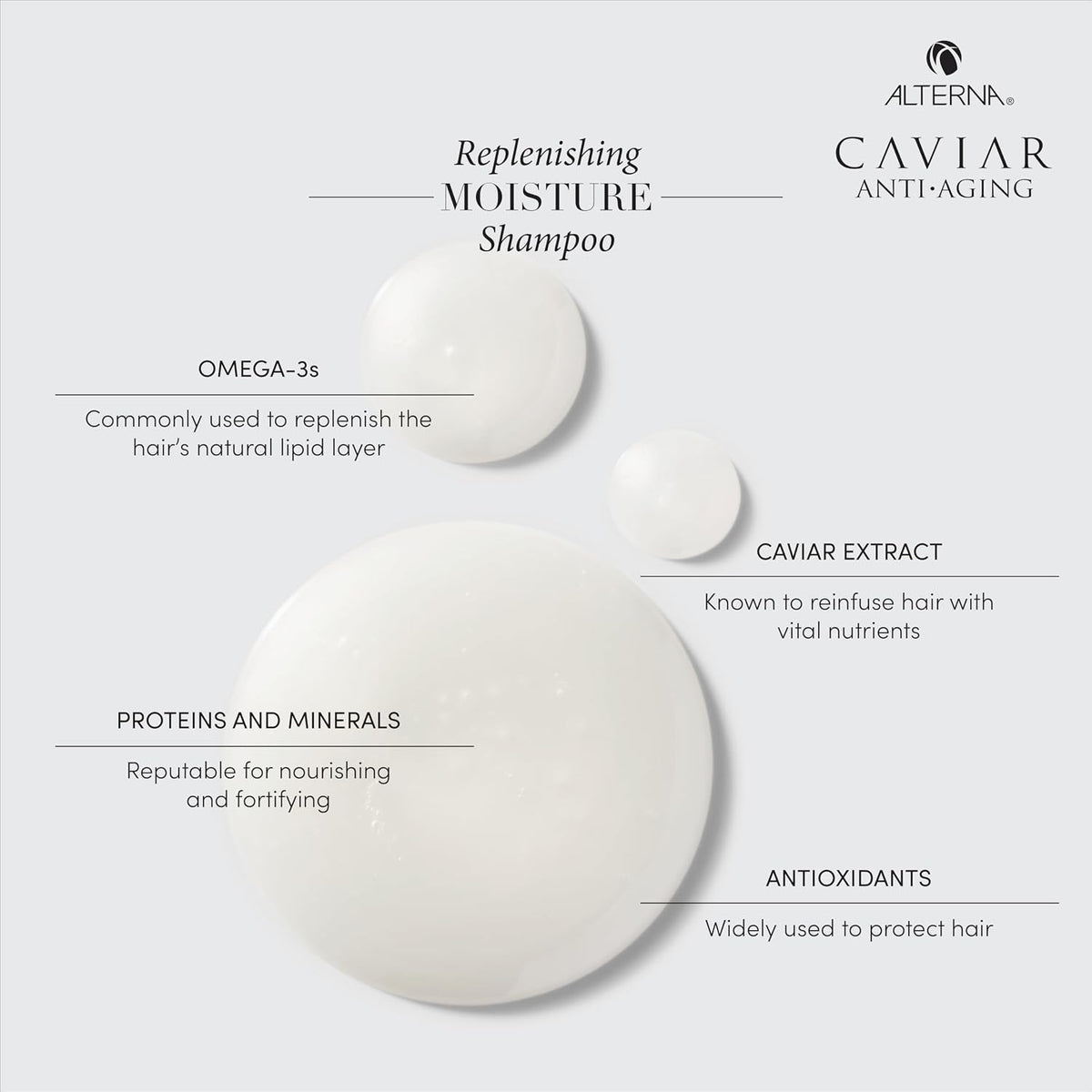 Alterna CAVIAR Anti-Aging Replenishing Moisture Shampoo | for Dry, Brittle Hair | Protects, Restores & Hydrates | Sulfate Free