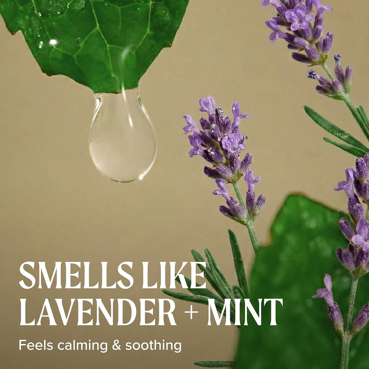 Tea Tree Lavender Mint Moisturizing Shampoo, Hydrates + Soothes, for Coarse + Dry Hair