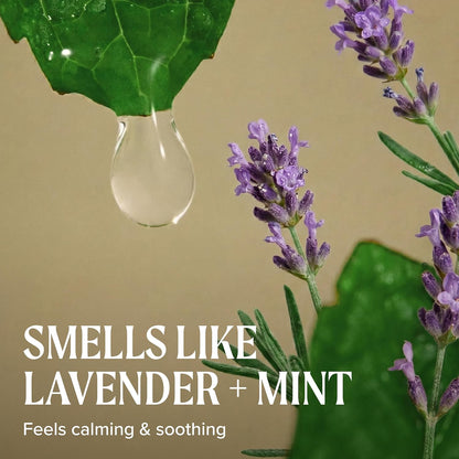 Tea Tree Lavender Mint Moisturizing Shampoo, Hydrates + Soothes, for Coarse + Dry Hair