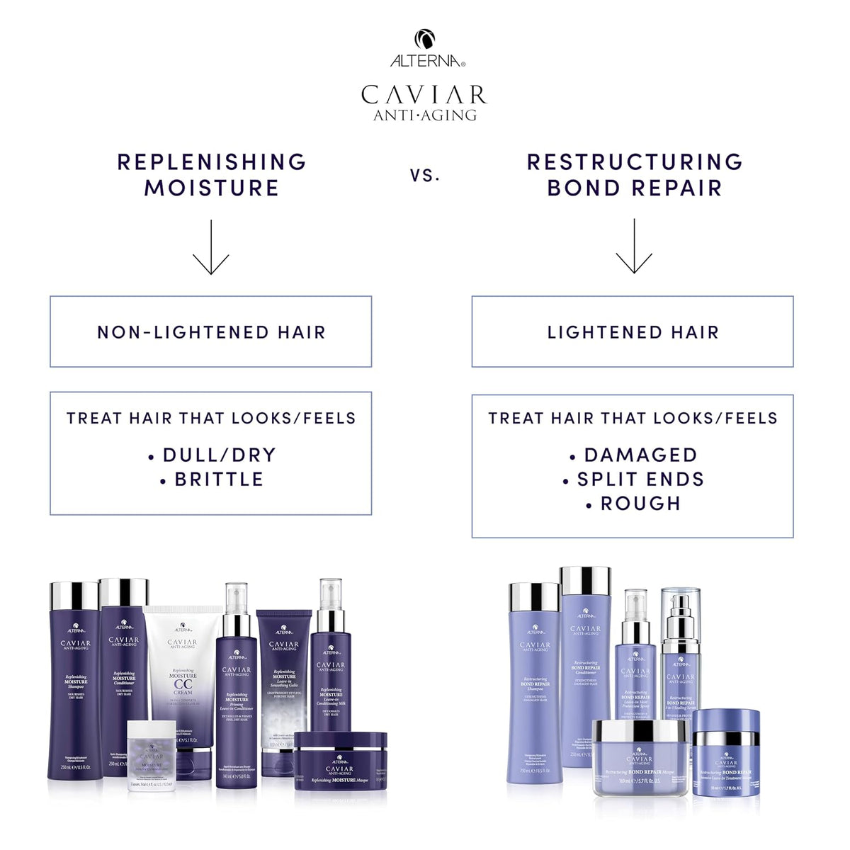 Alterna CAVIAR Anti-Aging Replenishing Moisture Shampoo | for Dry, Brittle Hair | Protects, Restores & Hydrates | Sulfate Free